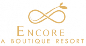 Encore-Logo-01-e1627030517720-300x161
